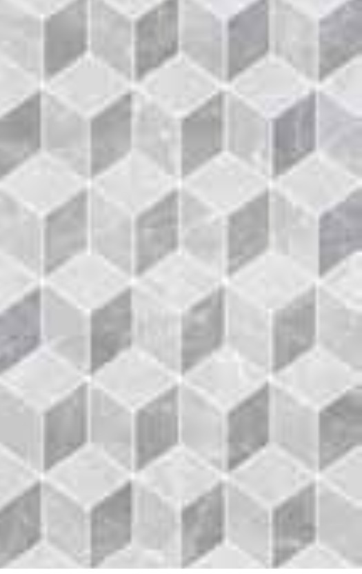 PLATINUM 25X40 BAXTER GREY (DIS)